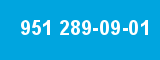 951 289-09-01 951 289-09-01